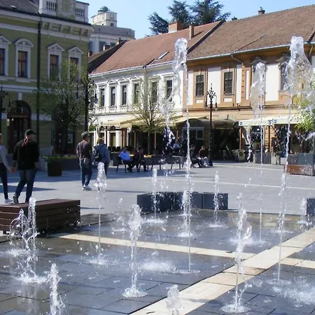 Fortuna Apartman Mini *