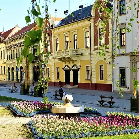 Apartment Fortuna Apartman Mini Eger